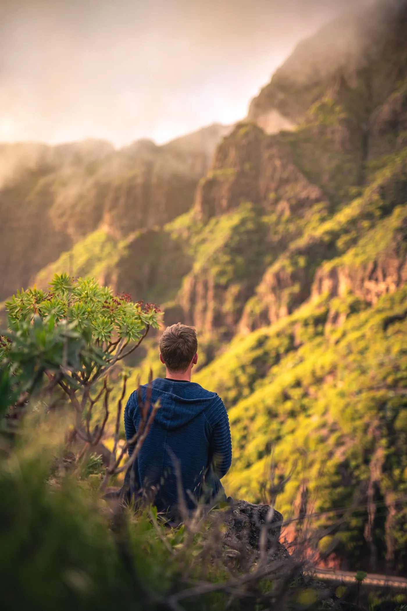 Hombre sentado de espaldas contemplando un valle verde entre montañas